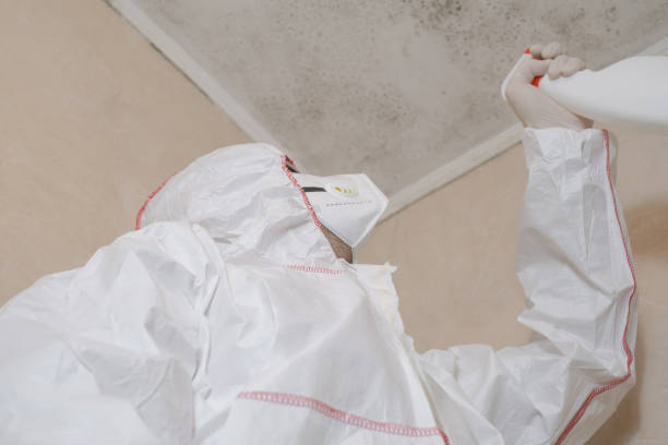 Trusted Oakland, NE Mold Removal Experts