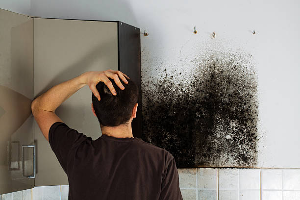 Best Mold Testing  in Oakland, NE